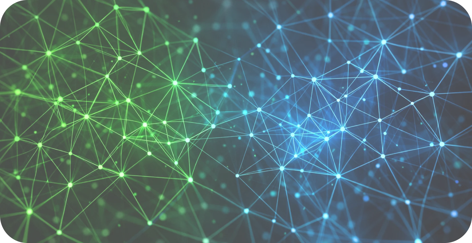 Digital Network